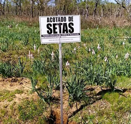 Casa rural Casa La *