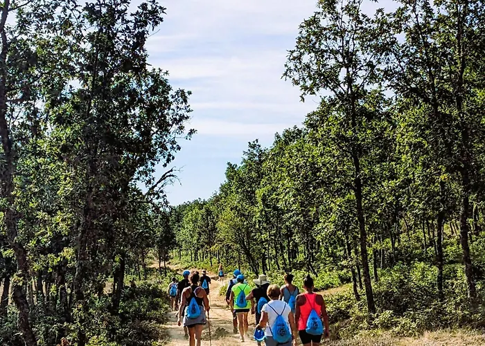 Casa rural Casa La Villamartin de Don Sancho